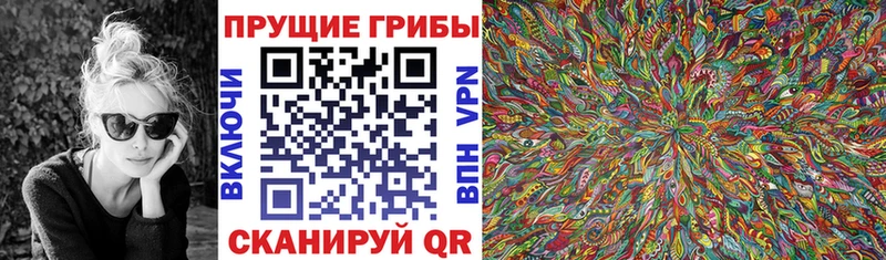 Галлюциногенные грибы Psilocybine cubensis  MEGA ТОР  Ставрополь  цены наркотик 